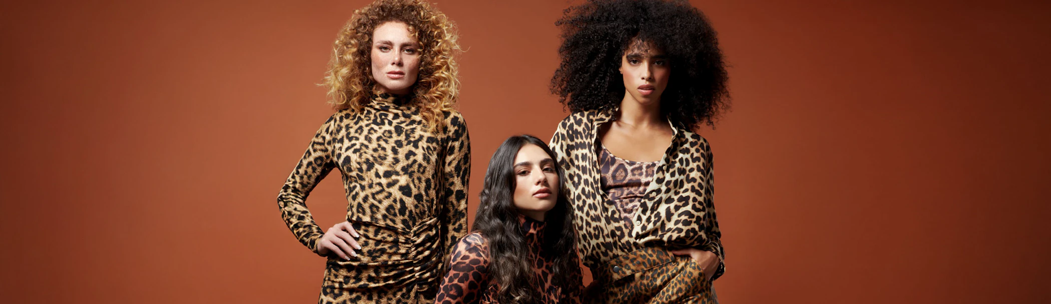 media/blog/header_images/cabecera_0002_wild-elegance.jpg