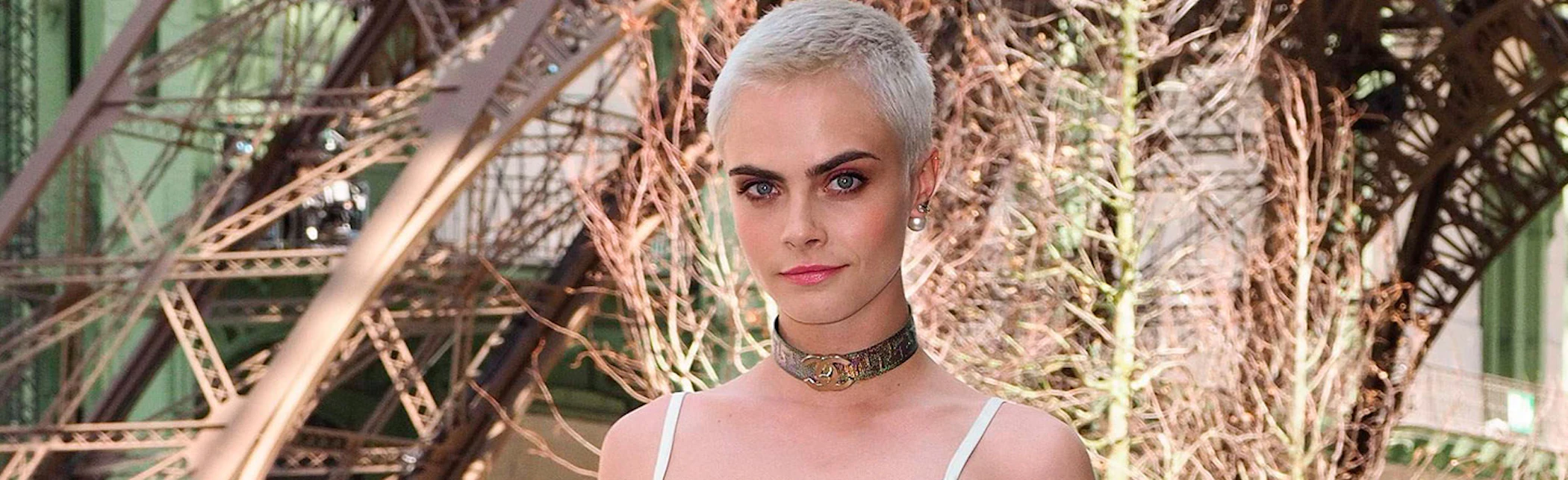 media/blog/images/00-Pixie-platino-cabecera.jpg