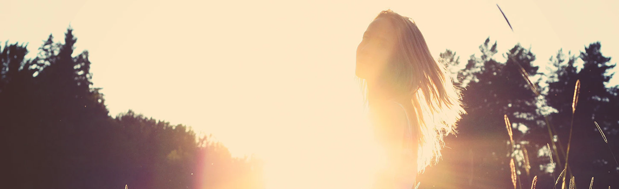 media/blog/images/01-sol-cabecera.jpg
