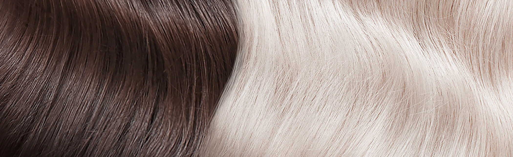 media/blog/images/02_02_extra-platinum_cabecera.jpg