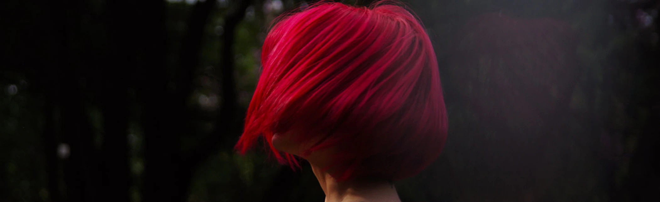 media/blog/images/18-cabello-limpio-cabecera.jpg