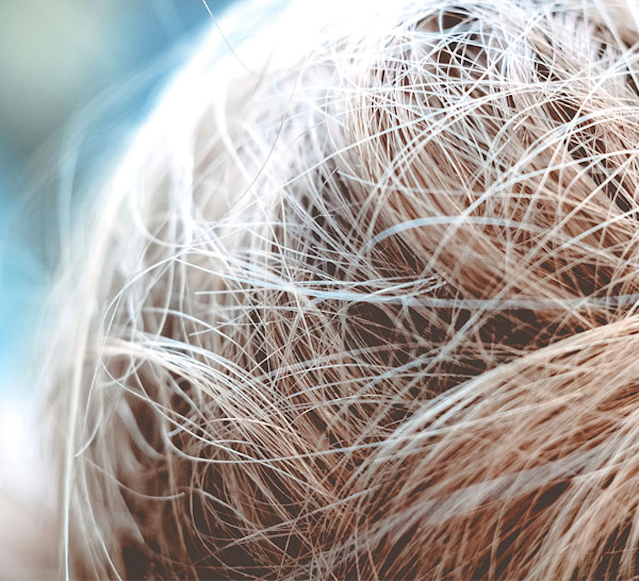 media/blog/images/Mitos-sobre-el-cabello-destacada.jpg