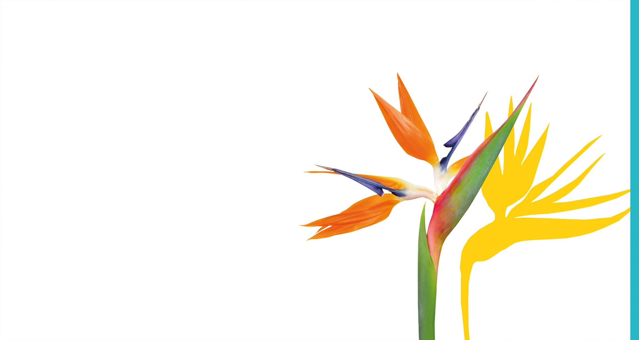 media/home/2022_01/1-Slider-2022-1.jpg